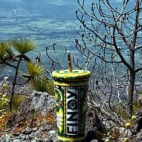 visión del kieri verde