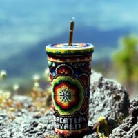 corazón de la tierra oscura corazón de la tierra oscura