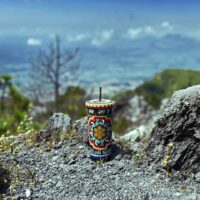 auto draft auto draft