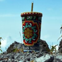 auto draft auto draft