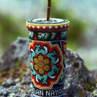 auto draft auto draft